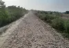 दरीबा- खीरो-बनईमऊ नहर पटरी मार्ग पर एक वर्ष से पड़ा बोल्डर, नागरिकों का चलना मुश्किल